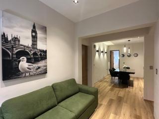 Narvarte Living Minimalist Ground Floor Apartment in Narvarte - 9