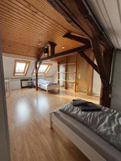 work & stay house in Linz - 9