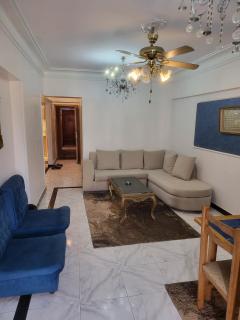 Villas with direct sea views and apartments with partial sea views in Miami, Alexandria, Al Safwa Tower, - 4