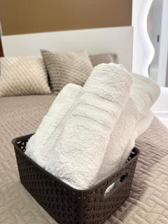 Luxury suite in Puyo - 3