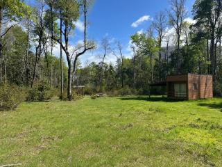 Cabañas del Bosque de Hualles - 5