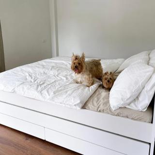 Prachanngam Homestay - 2