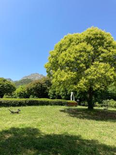 설아다원 한옥스테이 - 5