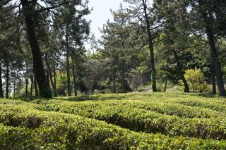 설아다원 한옥스테이 - 2