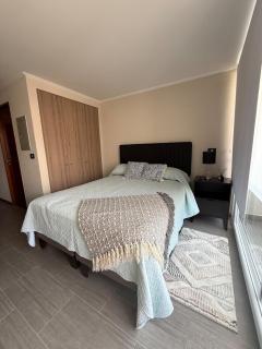 Studio Apartment 1D 1B Cavancha Peninsula - 4