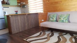 Cabaña en Frutillar - 2