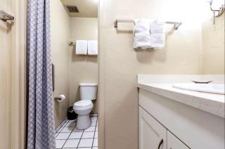 Plantation Hale Hotel - Spacious 1BR Condo Near Beach & Shops Sleeps 4 Family Friendly - 5