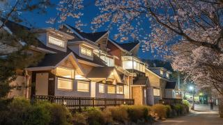 Gapyeong Haneuldari pet pension - 1