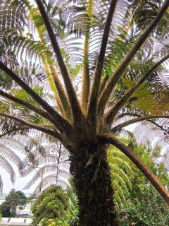 Glenfall Guest - Nuwara Eliya - 9