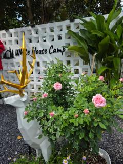 ไวท์ เฮ้าท์ แคมป์ ชะอม - 0