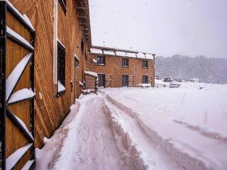Maison Prestige en Forêt pour 15, Confort et Élégance aux Angles - FR-1-295-213 - 9