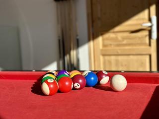 Maison Prestige en Forêt pour 15, Confort et Élégance aux Angles - FR-1-295-213 - 2