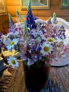 Cabin In Rauland Near Fishing, Hiking And Skiing - 1