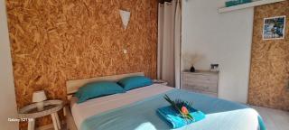 Zananas Bungalow privé chez l'habitant - 9