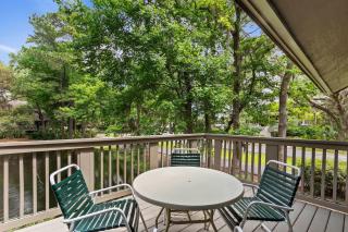 Spicebush - 573 at Sea Pines - 8