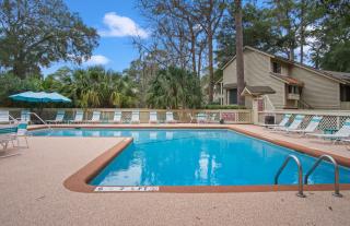 Swallowtail at Sea Pines - 2880 - 8