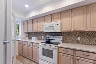 Swallowtail -2906 - 3