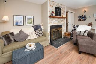 3BR Oasis Private Hot Tub and Sauna Walk to Ski Hill - 5