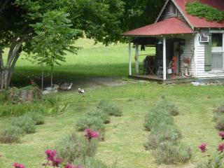 Mulberry Lavender Farm and B&B - 1