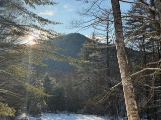 Joia Verde Mtn Cabin - 9