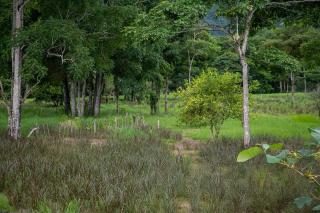 Apartment Steps fr VistaLos Sueños Adventure Park, los sueños y jaco - 9