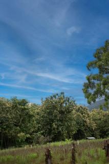 Aparment villa 2 betrooms close to Jaco and los sueños marina - 2