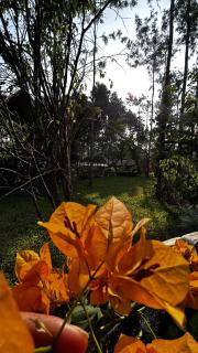 Coffeethota homestay - 6