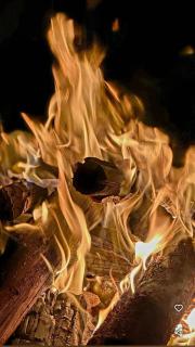 Malnad cloud homestay Agumbe - 4