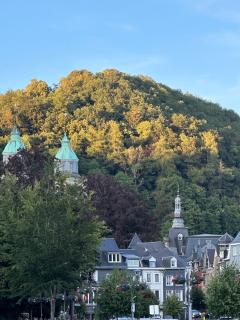 NEOZONE Appart-Hotel Malmedy - 1