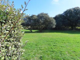 Cottage de Bourgenay - 1