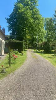 Escapade Paisible forêt des Landes - 8