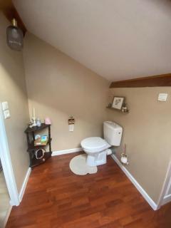 Escapade Paisible forêt des Landes - 3