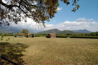 Winilia Winery & Restaurant - 2