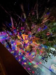 The JS cafe and hostel - 9