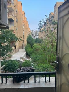 الشيخ زايد - 4