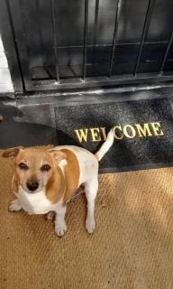 Peaceful Apartment - getaway to the countryside - 7