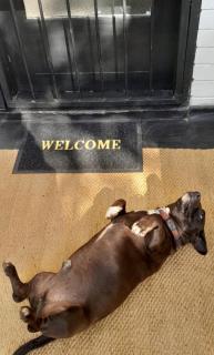 Peaceful Apartment - getaway to the countryside - 8