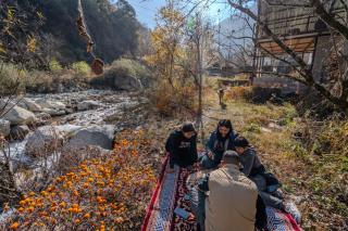 SaffronStays Tirthan House - Balcony View - 5