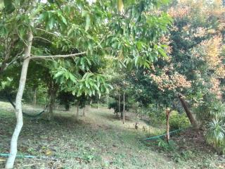 Lanta Vacation House - 4