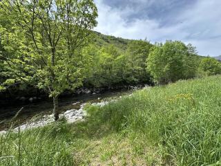 La Clède du PontNeuf - 7