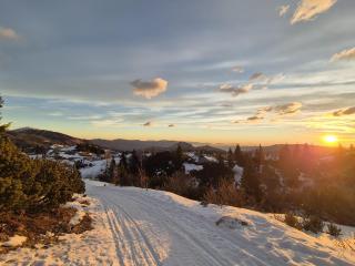 Koča Velika Planina - Chalet Kamrica - 9