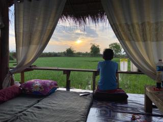 OrganicHomeFarmStay - 7