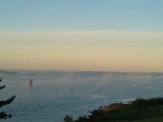 Navigateurs proche centre - jardin- parking gratuit - Brest - 9