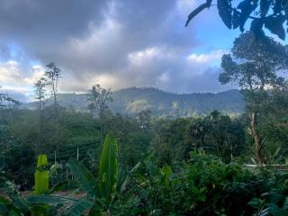 Freedom camp ella - 8