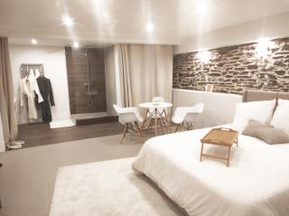 Suite Privé avec Spa haut de gamme, Salle de Cinéma, Massage etc - 8
