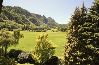 Ferienwohnung im Grünen - 8