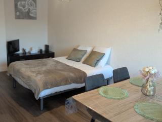 Kereliza - Studio proche du centre de Vannes - Vannes - 8