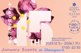 Projector,2LDK,75 square meters,6pp,QuietHome,Shinagawa Area - 5