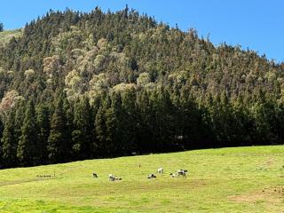 L'Eden De La Grande Ferme - 7