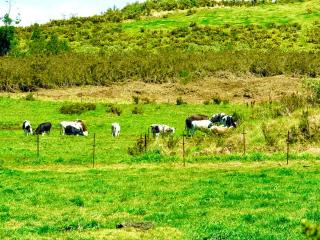 L'Eden De La Grande Ferme - 8